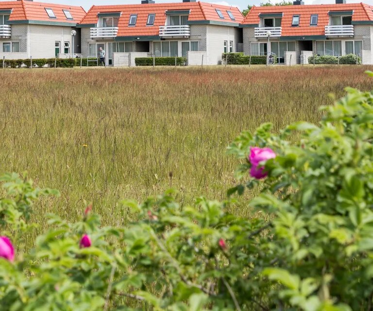 Appartementencomplex bosch en zee unterkunft aussen 07.jpg