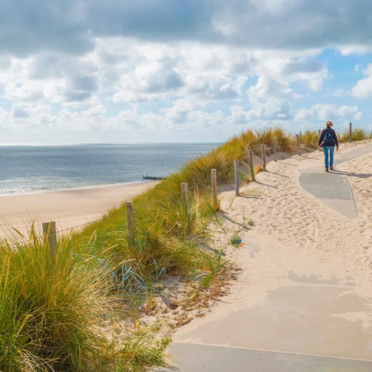 Bos en duin strand 03.jpg