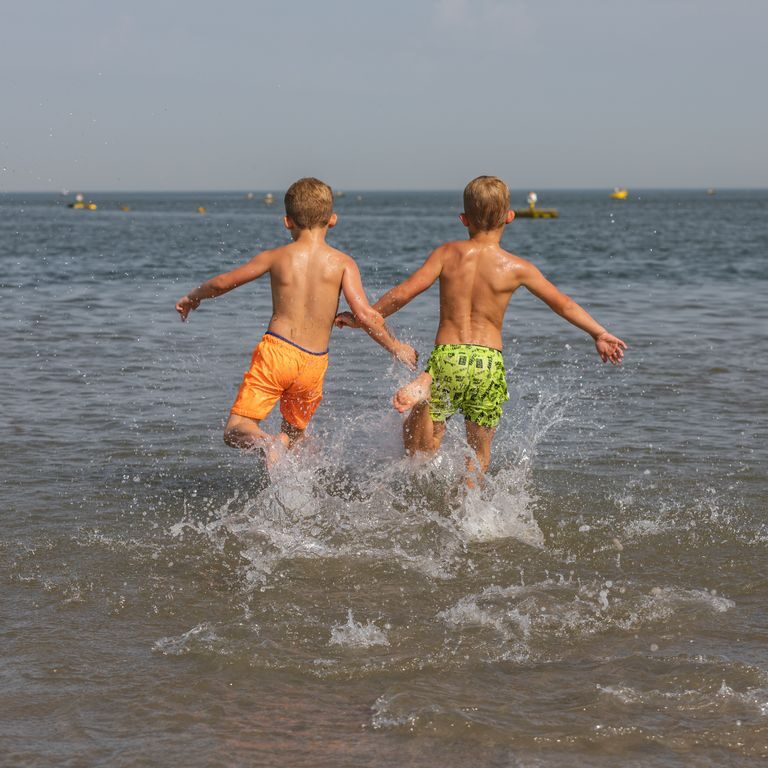 Bos en duin strand 04.jpg