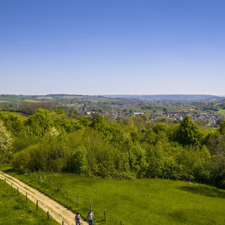 Bungalowpark schin op geul natur 09.jpg