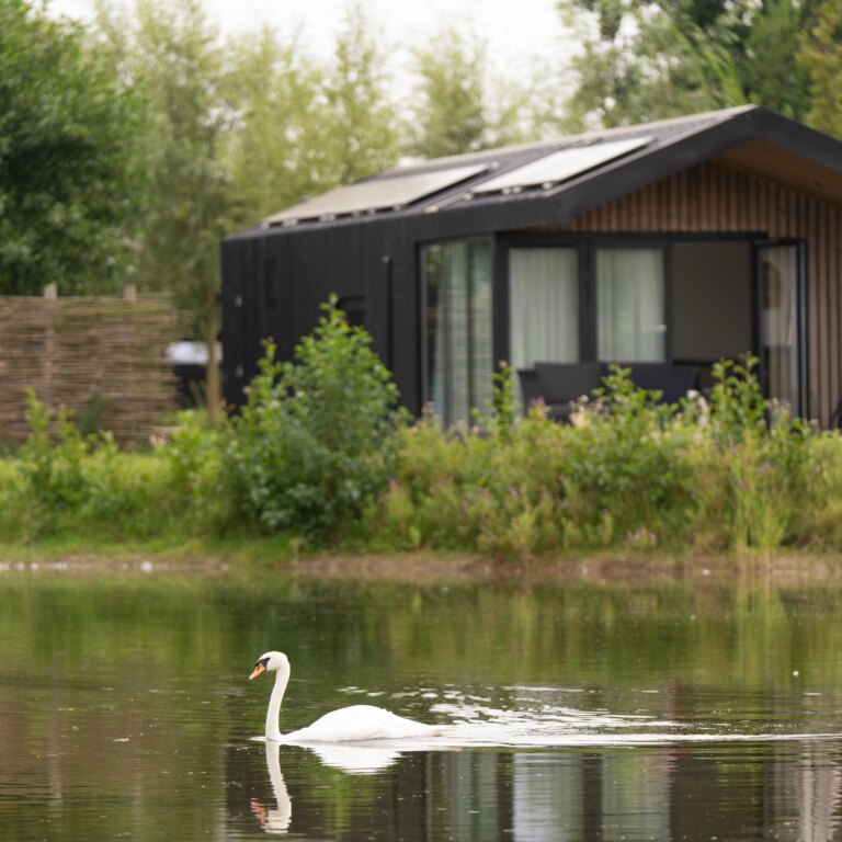 Lakeside resort brielle lodge 04.jpg