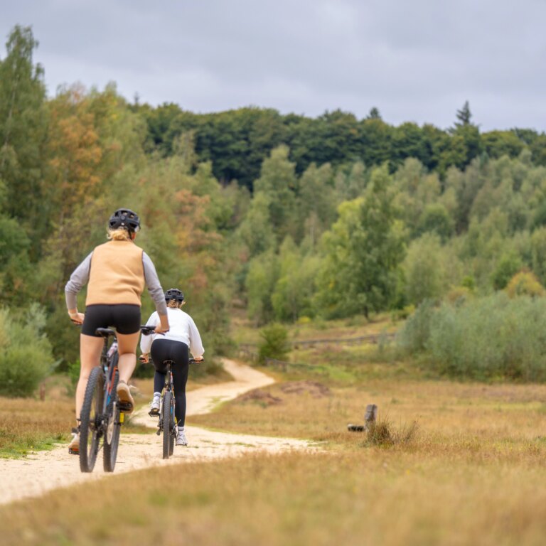 Marber veluwe aktivitaeten 10.jpg