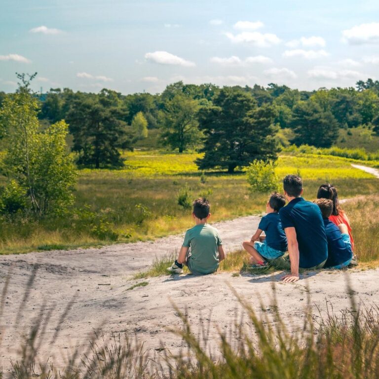 Europarcs brunssummerheide natur 04.jpg