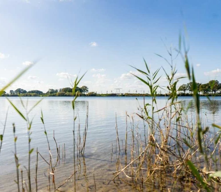 Europarcs de kraaijenbergse plassen natur 08.jpg