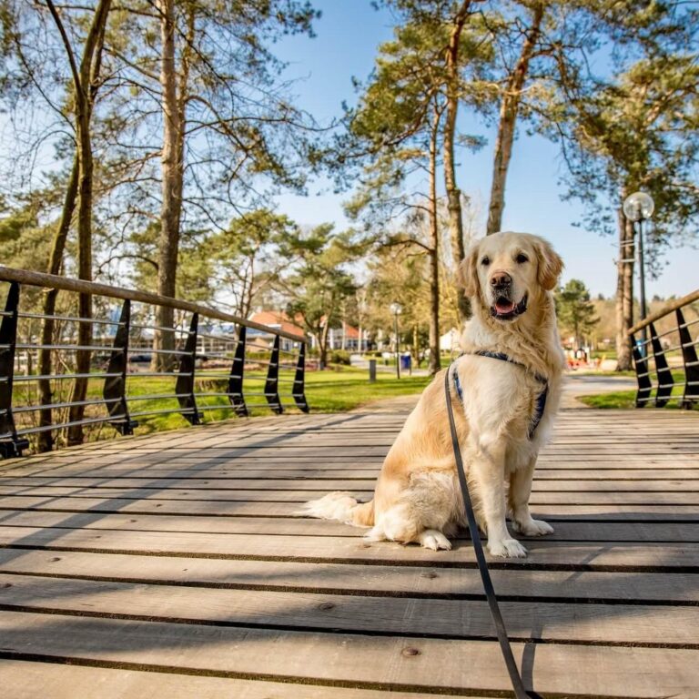 Europarcs markermeer natur 10.jpg