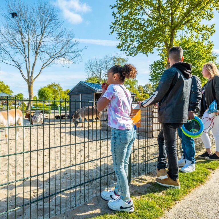 Europarcs molengroet aktivitaeten 10.jpg