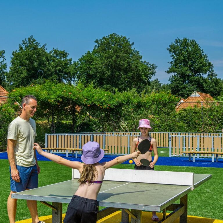 Europarcs reestervallei pingpong