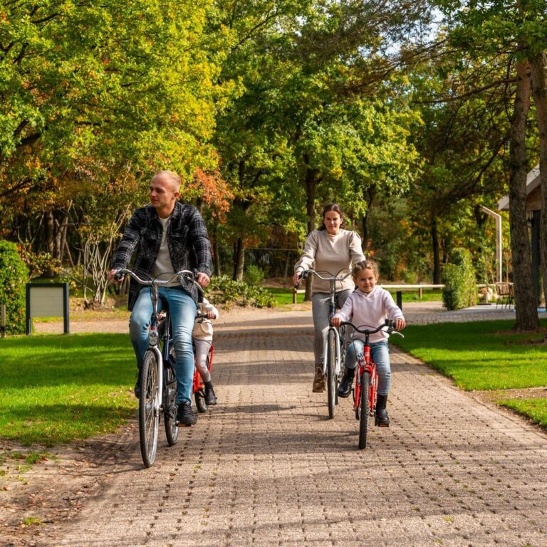 Europarcs ruinen aktivitaeten 10.jpg