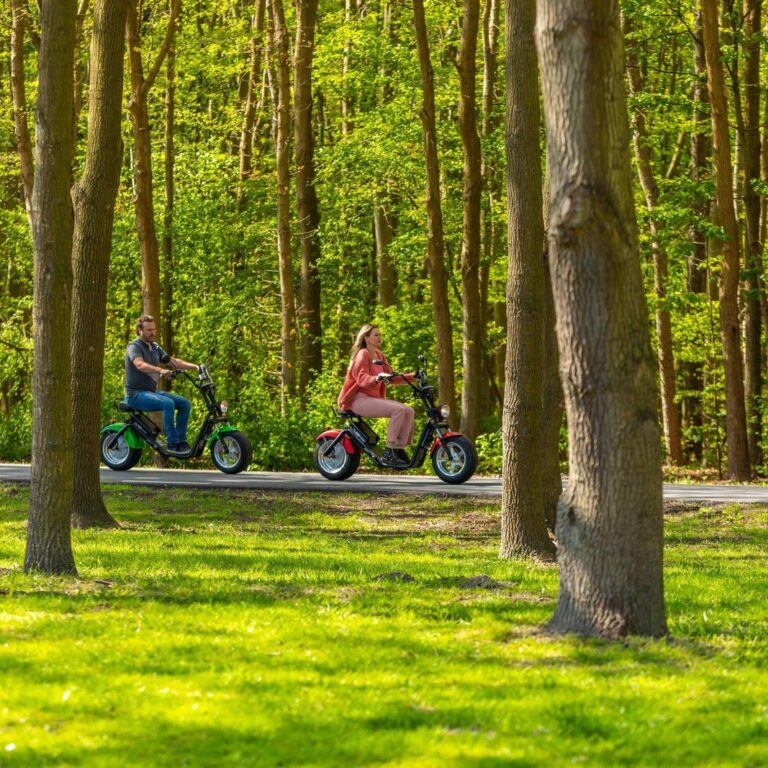 Europarcs spaarnwoude aktivitaeten 09.jpg